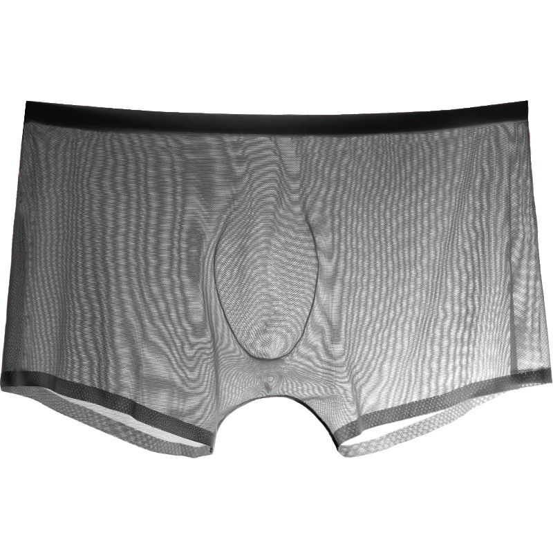 ذكر الملاكم الرجال ملخصات شير  - مراجعة Trunk Breathable Men وسعره